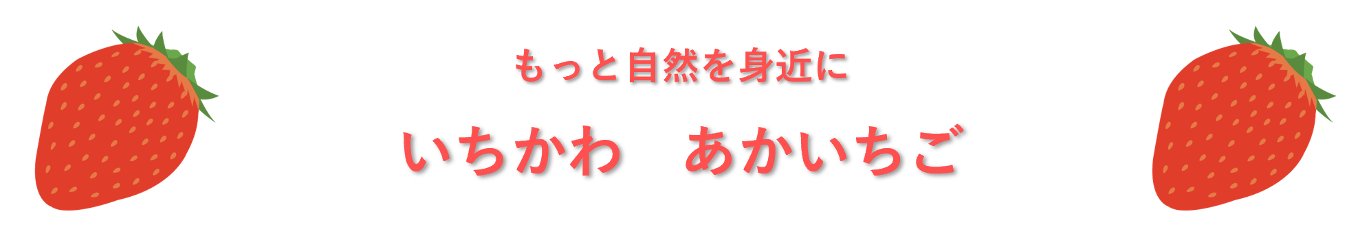 いちかわ　あかいちご 